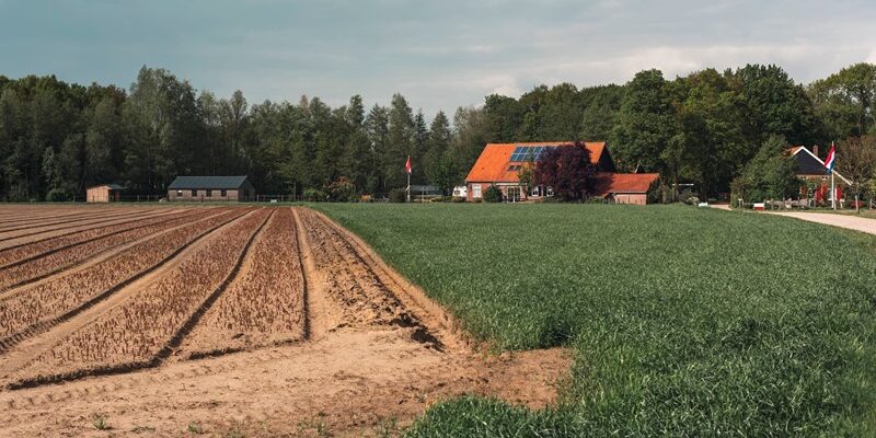 Rente van 9% op lening van ouders is niet zakelijk